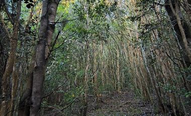 Parcela en Venta en Río Notué