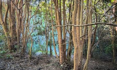 Parcela en Venta en Río Notué