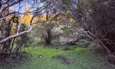 Parcela en Venta en Río Notué