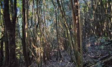 Parcela en Venta en Río Notué