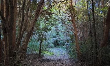 Parcela en Venta en Río Notué