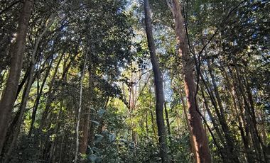 Parcela en Venta en Río Notué