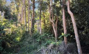 Parcela en Venta en Río Notué