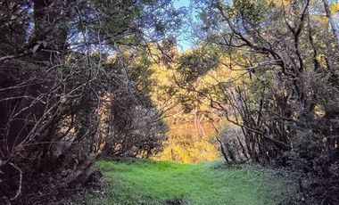 Parcela en Venta en Río Notué