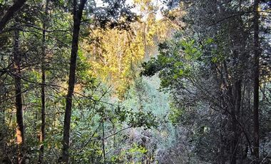 Parcela en Venta en Río Notué