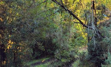 Parcela en Venta en Río Notué