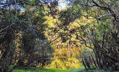 Parcela en Venta en Río Notué