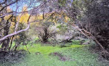 Parcela en Venta en Río Notué