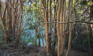 Parcela en Venta en Río Notué