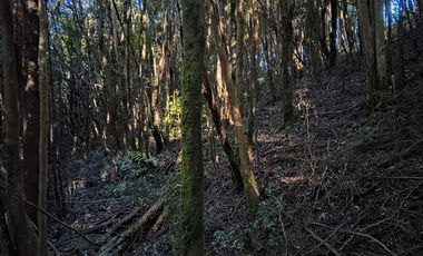 Parcela en Venta en Río Notué