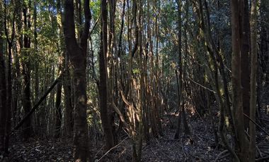 Parcela en Venta en Río Notué