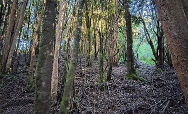 Parcela en Venta en Río Notué