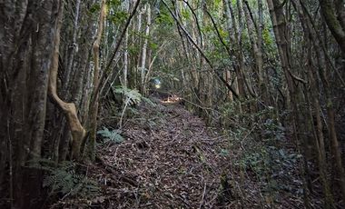 Parcela en Venta en Río Notué