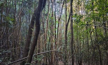 Parcela en Venta en Río Notué