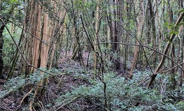 Parcela en Venta en Río Notué