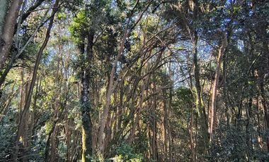 Parcela en Venta en Río Notué