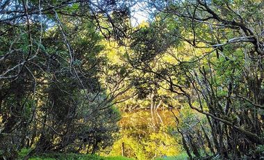 Parcela en Venta en Río Notué