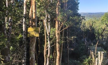 Parcela en Venta en Río Notué