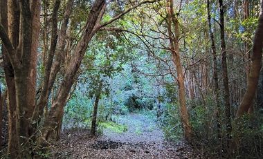 Parcela en Venta en Río Notué