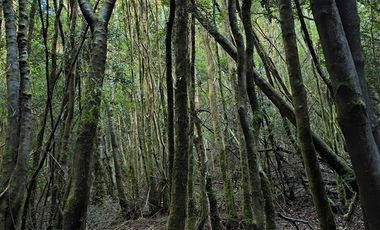 Parcela en Venta en Río Notué