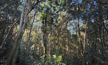 Parcela en Venta en Río Notué