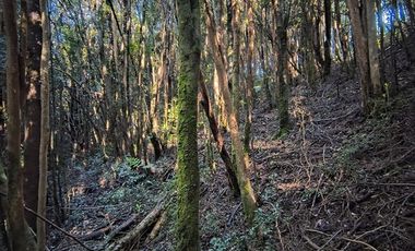 Parcela en Venta en Río Notué