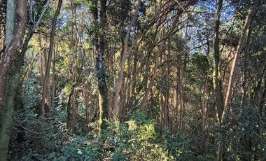 Parcela en Venta en Río Notué
