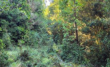 Parcela en Venta en Río Notué