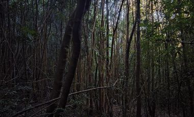 Parcela en Venta en Río Notué