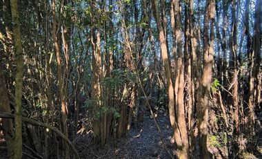 Parcela en Venta en Río Notué