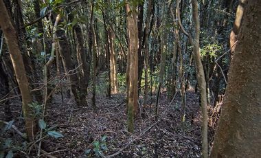 Parcela en Venta en Río Notué