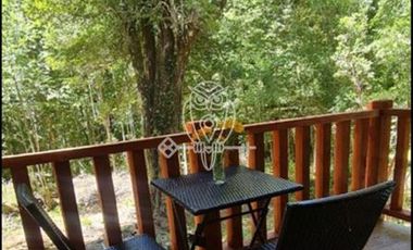 Casa en Venta en Reserva Biologica Huilo Huilo