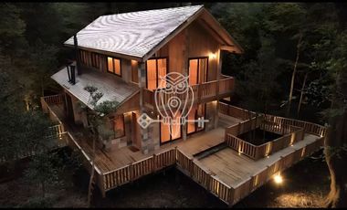 Casa en Venta en Reserva Biologica Huilo Huilo