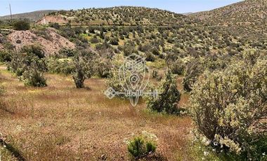 Parcela en Venta en Valle ramanay