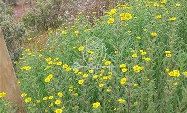 Parcela en Venta en Valle ramanay