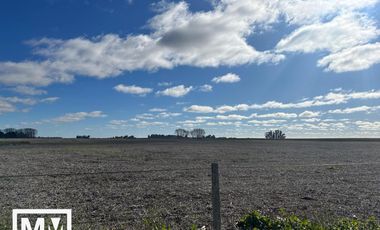 Campo papero 19 HA en Mar Chiquita