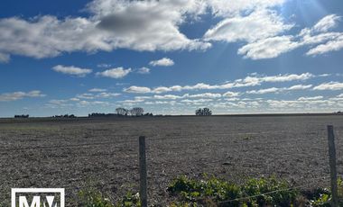 Campo papero 19 HA en Mar Chiquita