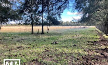 Campo papero 19 HA en Mar Chiquita