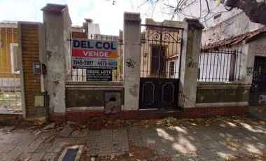 Lote de 8,66 x 51.62