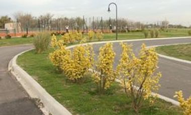 Terreno en Venta Cruz del Sur