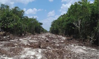 TERRENOS EN VENTA, BENITO JUAREZ CANCUN-ARCO NORTE