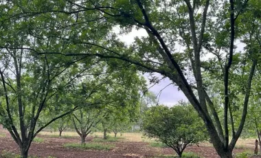 Quinta en venta en Las Abras de Abajo, Cadereyta Jiménez, Nuevo León