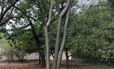 Quinta en venta en Las Abras de Abajo, Cadereyta Jiménez, Nuevo León