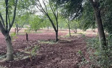Quinta en venta en Las Abras de Abajo, Cadereyta Jiménez, Nuevo León