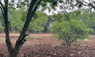 Quinta en venta en Las Abras de Abajo, Cadereyta Jiménez, Nuevo León