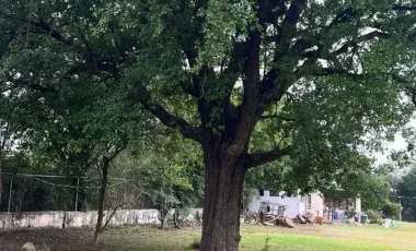 Quinta en venta en Las Abras de Abajo, Cadereyta Jiménez, Nuevo León