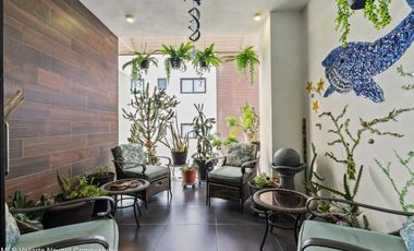 Arrecife, Bucerias, Riviera Nayarit