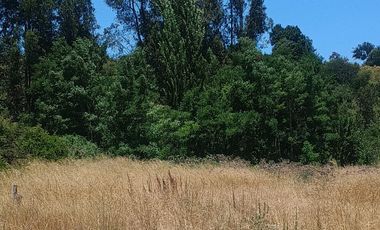 PARCELA  7000 M CON ROL AGUA Y LUZ EN CODIGUA