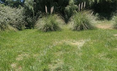 PARCELA  7000 M CON ROL AGUA Y LUZ EN CODIGUA