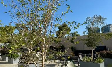 ¡Departamento NUEVO en renta en Ventura, Zona Real!